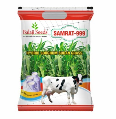 HY. SAMRAT - 999